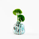 pumpkin vase aqua chrome